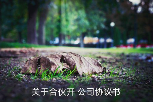 關(guān)于合伙開(kāi) 公司協(xié)議書