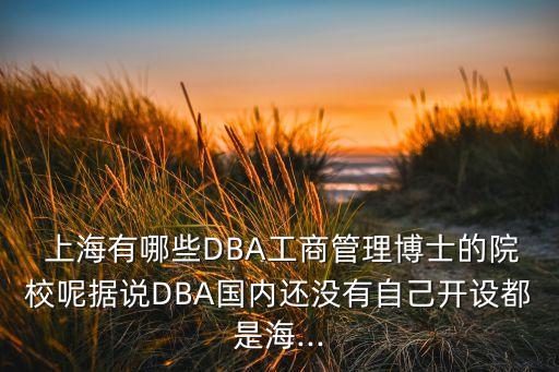  上海有哪些DBA工商管理博士的院校呢據(jù)說DBA國內(nèi)還沒有自己開設(shè)都是海...