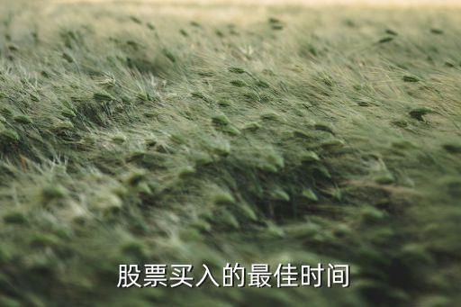  股票買(mǎi)入的最佳時(shí)間