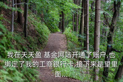 我在天天盈 基金網(wǎng)站開(kāi)通了賬戶,也綁定了我的工商銀行卡,接下來(lái)是望里面...