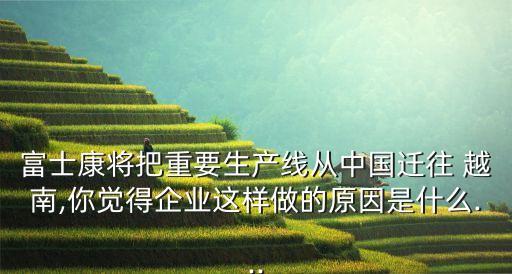 富士康將把重要生產(chǎn)線從中國(guó)遷往 越南,你覺(jué)得企業(yè)這樣做的原因是什么...