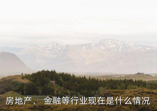 房地產(chǎn)、 金融等行業(yè)現(xiàn)在是什么情況
