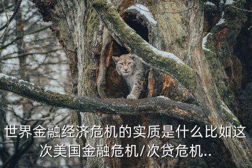 世界金融經(jīng)濟(jì)危機(jī)的實(shí)質(zhì)是什么比如這次美國金融危機(jī)/次貸危機(jī)..