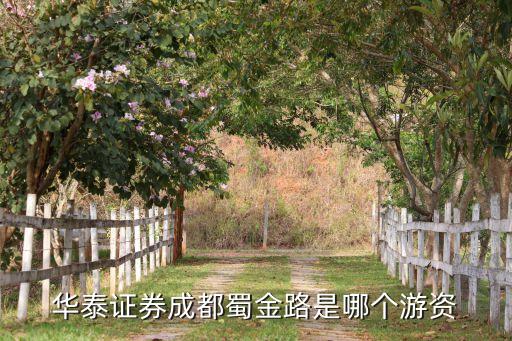 華泰證券成都蜀金路是哪個(gè)游資