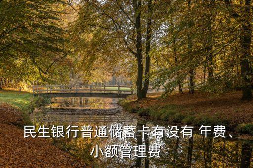  民生銀行普通儲(chǔ)蓄卡有沒(méi)有 年費(fèi)、小額管理費(fèi)