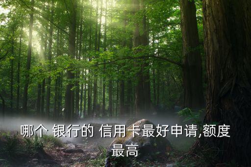 哪個(gè) 銀行的 信用卡最好申請,額度最高