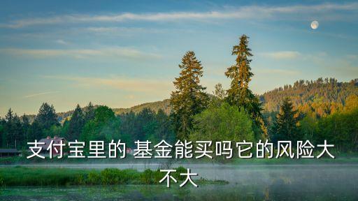  支付寶里的 基金能買(mǎi)嗎它的風(fēng)險(xiǎn)大不大