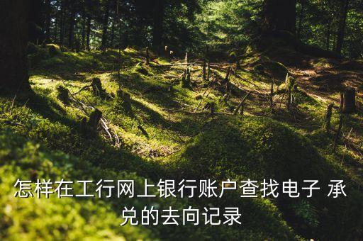 怎樣在工行網(wǎng)上銀行賬戶(hù)查找電子 承兌的去向記錄