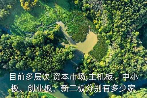 目前多層次 資本市場,主機板、中小板、創(chuàng)業(yè)板、新三板分別有多少家