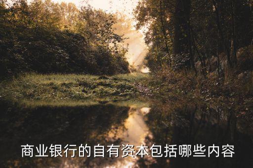  商業(yè)銀行的自有資本包括哪些內容