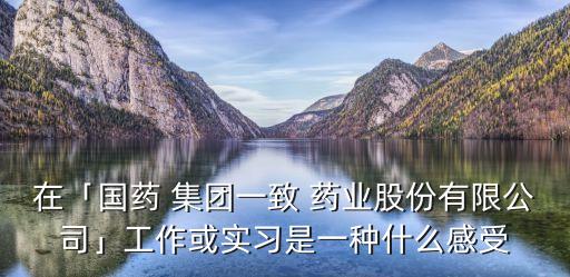 在「國藥 集團一致 藥業(yè)股份有限公司」工作或?qū)嵙?xí)是一種什么感受