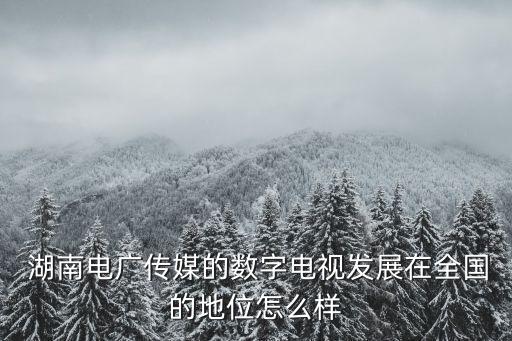 湖南有線電視網(wǎng)絡(luò)集團(tuán),湖南國(guó)安有線電視網(wǎng)絡(luò)