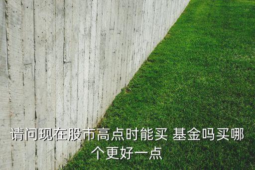 請問現(xiàn)在股市高點(diǎn)時能買 基金嗎買哪個更好一點(diǎn)