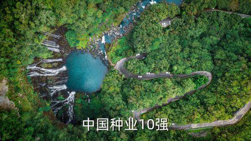 湖北省種子集團有限公司品種簡介,云南正大種子有限公司玉米品種