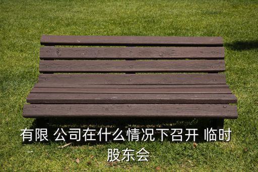 有限 公司在什么情況下召開(kāi) 臨時(shí) 股東會(huì)