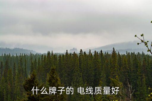 什么牌子的 電線質量好