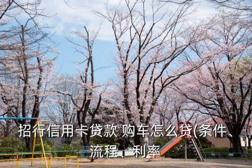 招行信用卡貸款 購(gòu)車怎么貸(條件、流程、利率