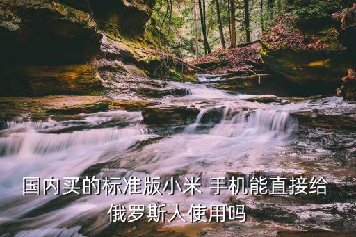國內(nèi)買的標(biāo)準(zhǔn)版小米 手機能直接給 俄羅斯人使用嗎