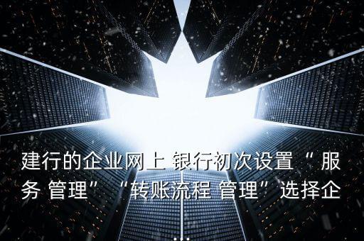 建行的企業(yè)網上 銀行初次設置“ 服務 管理”“轉賬流程 管理”選擇企...
