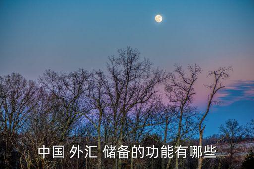 中國 外匯 儲(chǔ)備的功能有哪些