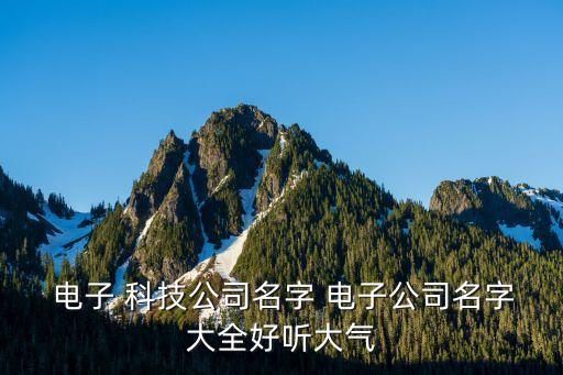  電子 科技公司名字 電子公司名字大全好聽(tīng)大氣