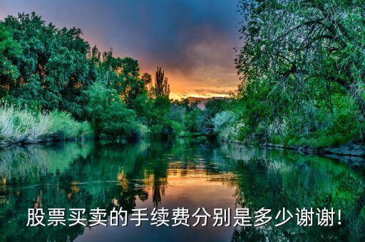  股票買(mǎi)賣(mài)的手續(xù)費(fèi)分別是多少謝謝!