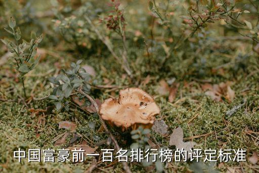 中國富豪前一百名排行榜的評(píng)定標(biāo)準(zhǔn)