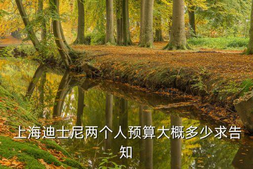  上海迪士尼兩個人預(yù)算大概多少求告知