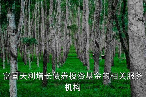 富國天利增長債券投資基金的相關服務機構(gòu)