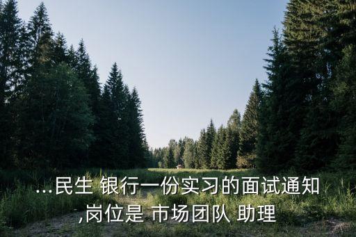 ...民生 銀行一份實(shí)習(xí)的面試通知,崗位是 市場團(tuán)隊(duì) 助理