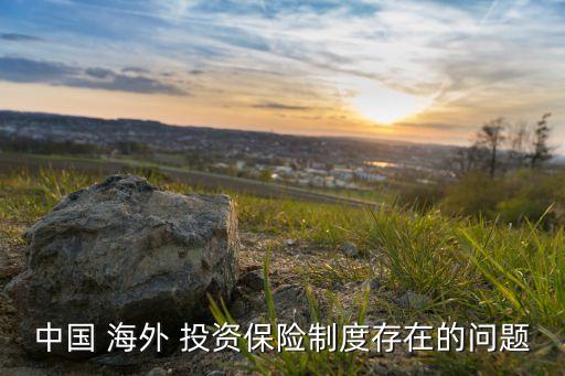 中國(guó) 海外 投資保險(xiǎn)制度存在的問題