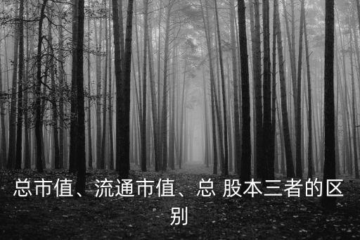 總市值、流通市值、總 股本三者的區(qū)別
