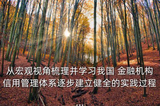 從宏觀視角梳理并學(xué)習(xí)我國(guó) 金融機(jī)構(gòu)信用管理體系逐步建立健全的實(shí)踐過(guò)程...