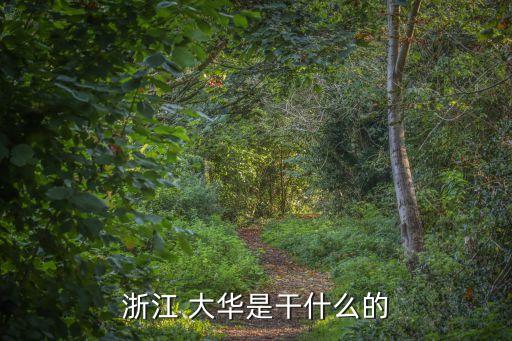 大華財(cái)富管理有限公司,四川省大華農(nóng)產(chǎn)品市場管理有限公司