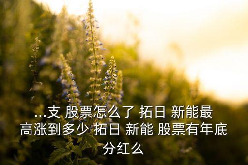 拓日新能股票走勢(shì)