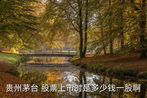 貴州茅臺(tái) 股票上市時(shí)是多少錢(qián)一股啊