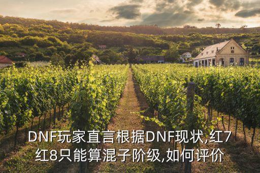 DNF玩家直言根據(jù)DNF現(xiàn)狀,紅7紅8只能算混子階級,如何評價(jià)