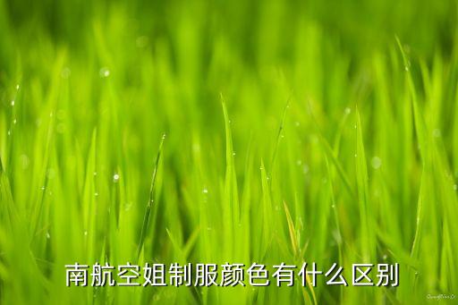 中國南航乘務(wù)長(zhǎng)男,南航乘務(wù)長(zhǎng)的要求