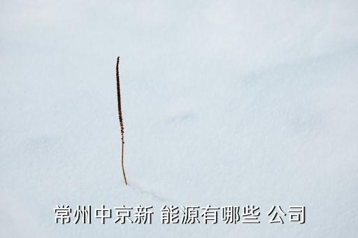 寧武能源投資有限責任公司,六枝特區(qū)能源投資(集團)有限責任公司
