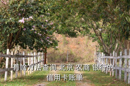 有啥方法查詢(xún) 北京 農(nóng)商 銀行的 信用卡賬單