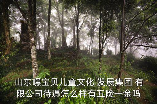  山東嘿寶貝兒童文化 發(fā)展集團 有限公司待遇怎么樣有五險一金嗎