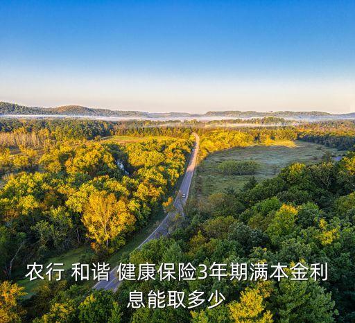農行 和諧 健康保險3年期滿本金利息能取多少