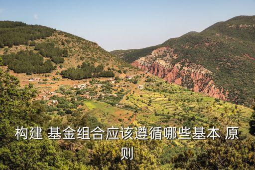 構(gòu)建 基金組合應該遵循哪些基本 原則