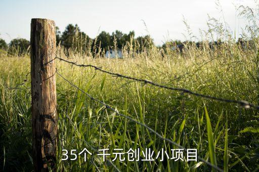 2016年千元投資什么賺錢(qián)嗎