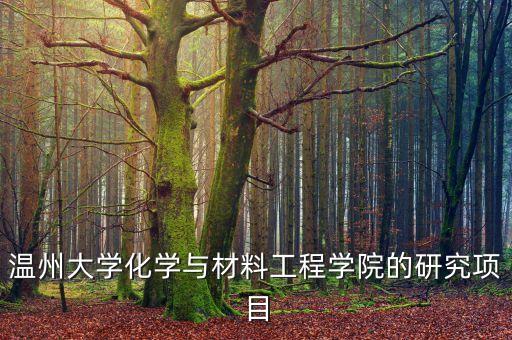 溫州大學(xué)化學(xué)與材料工程學(xué)院的研究項目