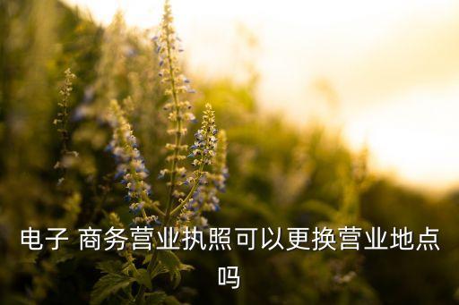 臨沂恒興商務有限公司,臨沂銀聯(lián)商務有限公司