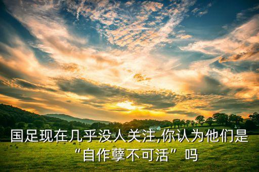 國足現在幾乎沒人關注,你認為他們是“自作孽不可活”嗎
