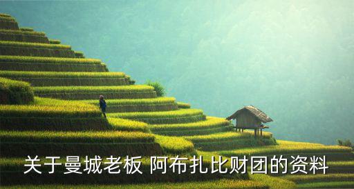 關(guān)于曼城老板 阿布扎比財(cái)團(tuán)的資料