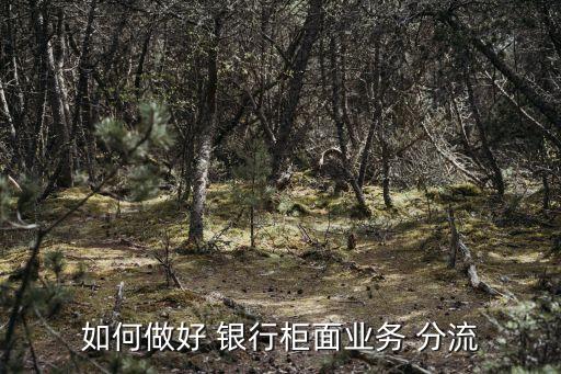 如何做好 銀行柜面業(yè)務 分流