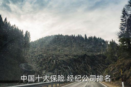 中國(guó)十大保險(xiǎn) 經(jīng)紀(jì)公司排名